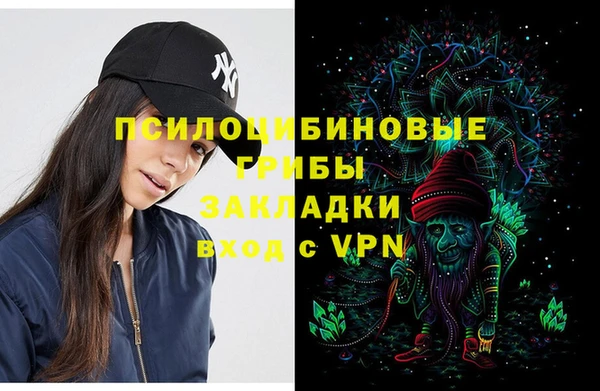 не бодяженный Лабытнанги