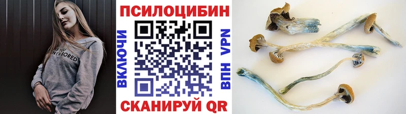 Галлюциногенные грибы мицелий  Медвежьегорск 